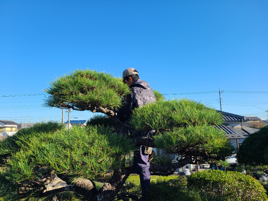 美笠園 有限会社(埼玉県深谷市/武川駅/専門職・その他)_3